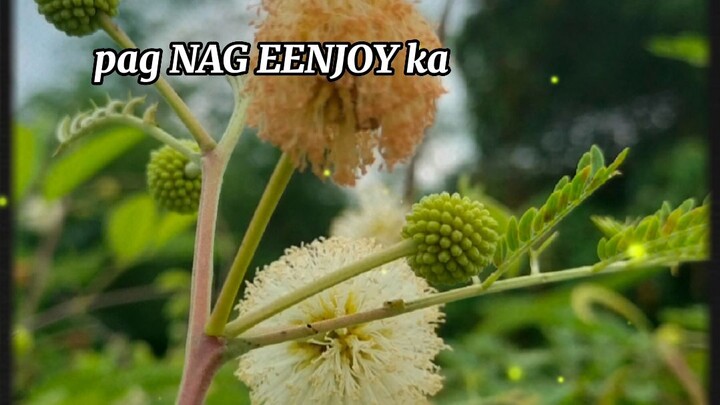 short video 🙏🙏🙏🥰