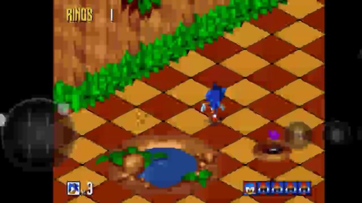 Sonic 3D Blast (1996) Gameplay By SEGA
