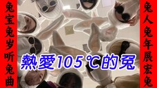 【TWICE】热 爱 1 0 5 °C 的 兔 >_<