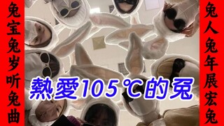 【TWICE】热 爱 1 0 5 °C 的 兔  >_<