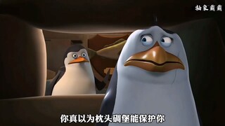 “ 可怜的凉快 ”