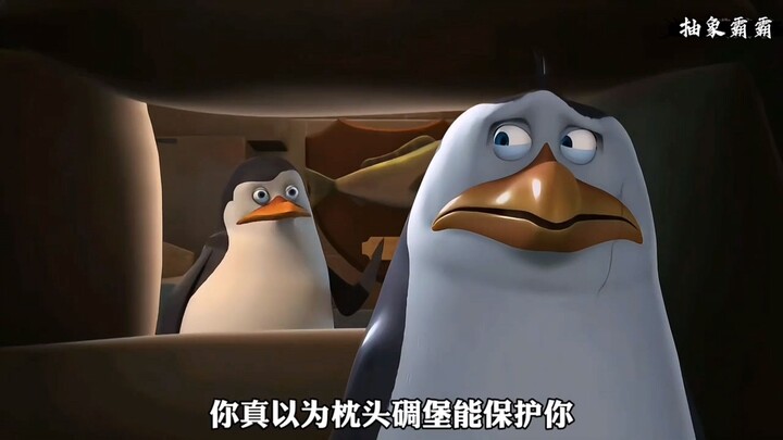 “ 可怜的凉快 ”