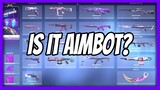 MY INVENTORY in VALORANT is PURPLE... (was it aimbot?)
