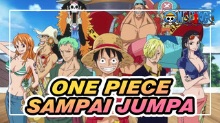 [One Piece] Sampai Jumpa Dua Tahun Kemudian