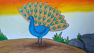 Menggambar burung merak || Cara menggambar dan mewarnai untuk pemula