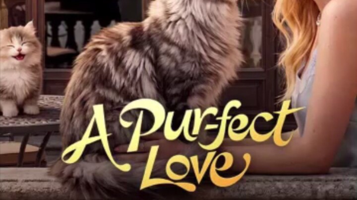 A PURFECT LOVE