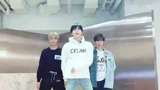 【NCT Tik Tok】Lee Kai-chan & Lee Young-chin