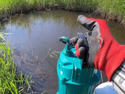 Thì ra nhân vật chính tuyến 5.0 của Lão Tiết lại là nó à