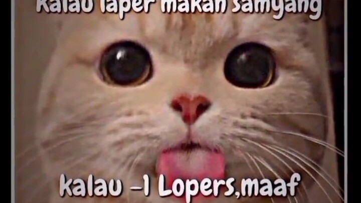 waduh