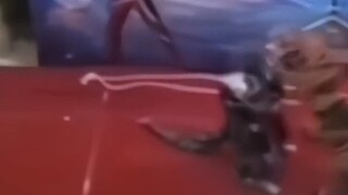 Awalnya saya tidak percaya pada cahaya, tapi sekarang saya percaya