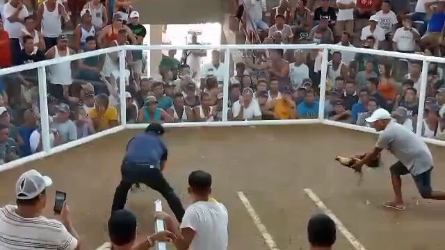 Marco sison bwenas bumitaw