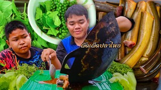 ผัดเผ็ดปลาไหล ใส่เครื่องสมุนไพรแบบหลายๆ กินพร้อมข้าวเหนียวแซ่บคักขนาด