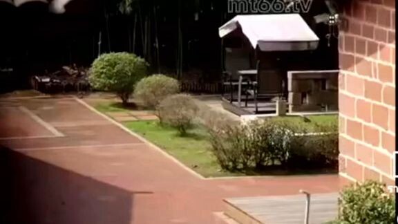 นกน้อยในกรงทอง1.4