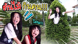 ต้นไม้กินคน!! แกล้งน้อง หนังสั้น น้องวีว่า พี่วาวาว I WiwaWawow TV