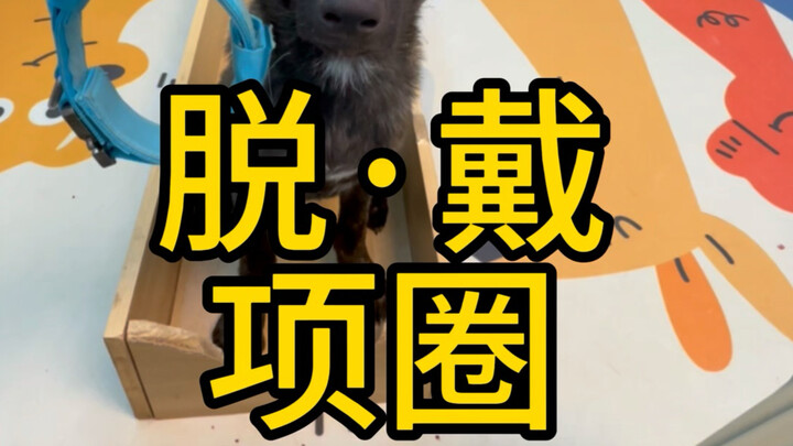 ชีวิตที่สองของฉัน