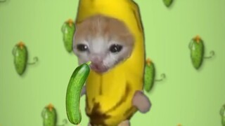 ลดน้ำหนักไม่ได้แค่กินแต่แตงกวา ไม่อย่างนั้นจะกลายเป็นเหมือนแมวกล้วย