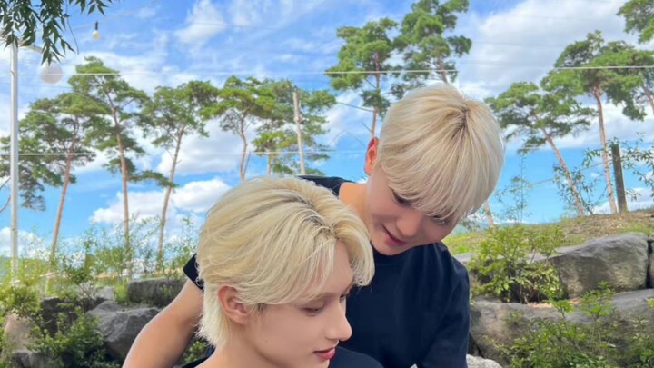 مسابقة بدون جوائز: من هو الأخ المفضل لدى فوشينغوان؟