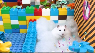 ภารกิจของหนูแฮมสเตอร์ EP 371