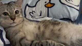 ما وَفَّيْتُ دَيْنِي لَكَ فِي الْحَيَاةِ السَّابِقَةِ