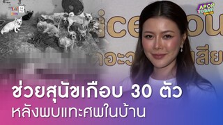 "เก๋ ชลลดา" ยื่นมือช่วยสุนัข 29 ตัว ในบ้านชายดับสลด ดูแล-รักษาก่อนหาบ้านใหม่ | Apop Today Online