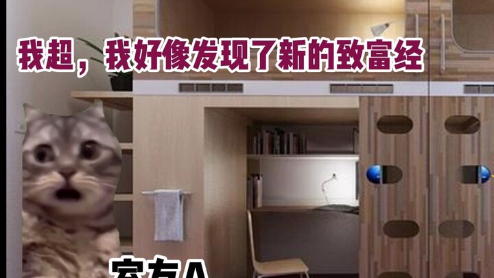 【Meme mèo】Chuyện bạn cùng phòng đại học dùng búp bê làm “má mì” trong ký túc xá