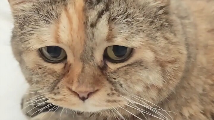 Just thinking about getting up makes me really sad.