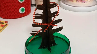 一晚上的成果 很治愈～