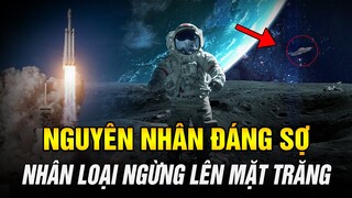 Vì Sao Nhân Loại Dừng Đổ Bộ Lên Mặt Trăng? Có Một Chủng Loài Khác Trên Đó? | Ngẫm Radio