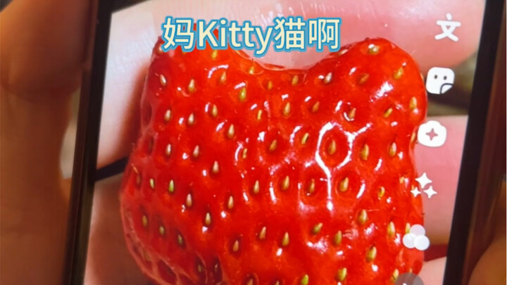 250K likes, but no “send” button pressed.