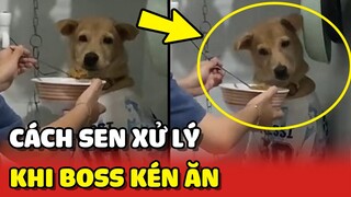 Cách Sen XỬ LÝ khi quá BẤT LỰC vì chiếc Boss KÉN ĂN 😂 | Yêu Lu