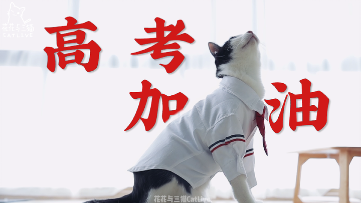 สู้ๆ ในการสอบเกาเข่าปี 2020! [เชียร์] [เชียร์]