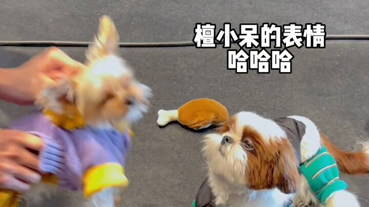 檀多多一家三口Imma Get It舞蹈PK，是谁赢了？