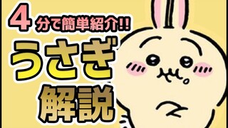 【お手軽紹介！】うさぎについて４分でキャラクター紹介！【ゆっくり解説】