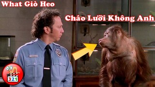 CƯỜI LÚ NGƯỜI Với 3 Phim Hài Dành Cho Người Yêu Động Vật | 3 Best Comedy Movies