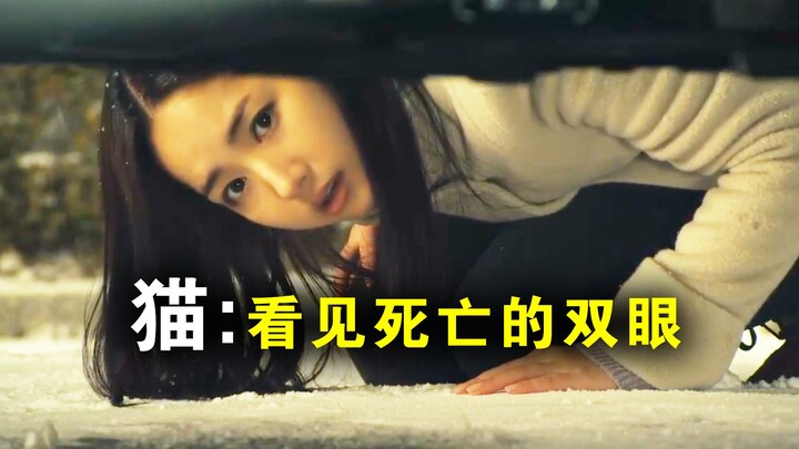 Gadis kecil berwajah kucing yang suka membunuh di ruang tertutup, fobia terhadap ruangan sempit mula