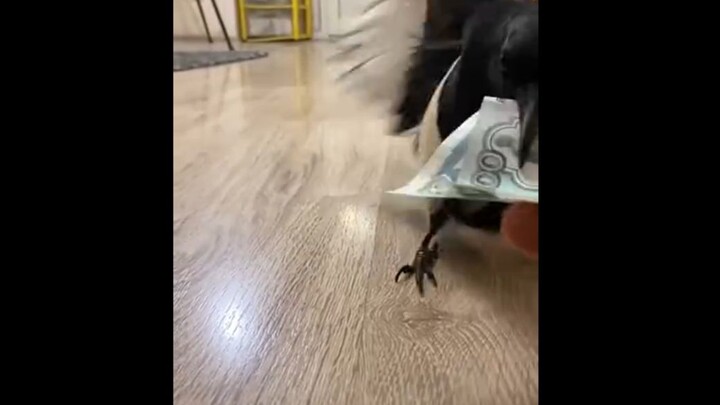 All he cares about is money; all he thinks about is making cash… I really wanna know what this guy’s