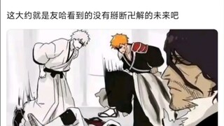 这大约就是友哈看到的没有掰断卐解的未来吧