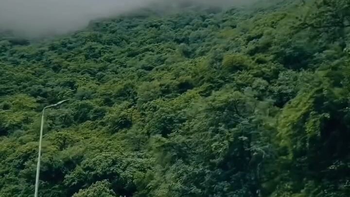 Pakistan is a South Asian country