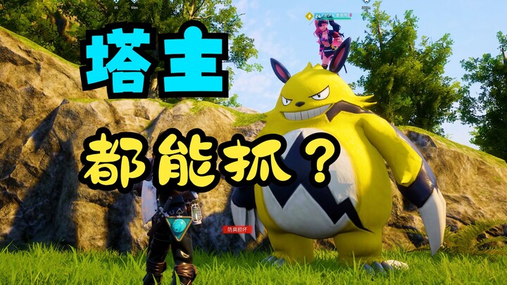 【โว่ตี้กุ๋ยกุ๋ย】เจ้าของหอคอยยังโดนจับได้เลย? จับ “เจ้าของหอคอย” และสัตว์เลี้ยงของเขาได้ง่ายๆ 100%