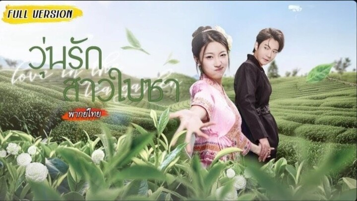 วุ่นรักสาวใบชา