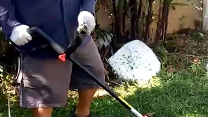 ONDE TUDO COMEÇOU