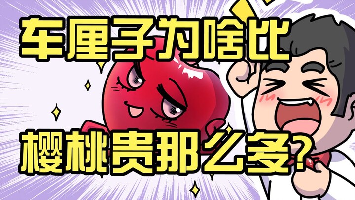 Tại sao cherry lại đắt hơn anh đào nhiều vậy?!