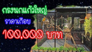 รีวิวนกแก้ว : กรงนกใหญ่ราคาเกือบ100,000 บาท!!  EP.89