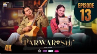 Parwarish Episode 13 Pakistan drama