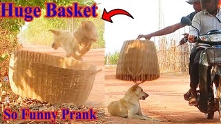 Super Huge Handmade Basket Prank Dog So Funny Must Watch