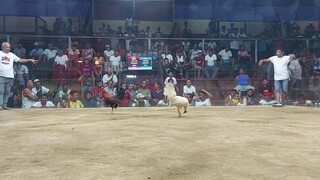 1st fight loss 3 hits ullutan lingayen pangasinan