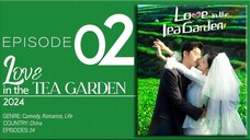 🇨🇳EP2 Love In The Tea Garden (2024)