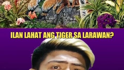 ilan lahat ng "LION" sa larawang ito?