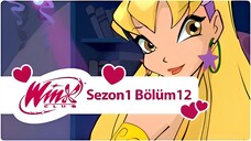 Winx Club - Sezon 1 Bölüm 12 - Magix Güzellik Kraliçesi