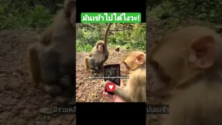 มันเข้าไปได้ไงวะ!